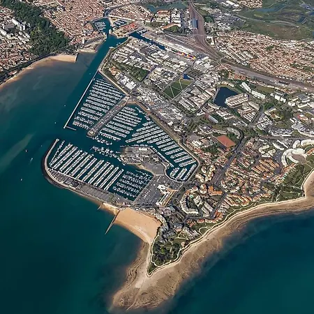 Vue - A 50m De La Des Minimes - Grand Jardin - Parking Gratuit Apartment
